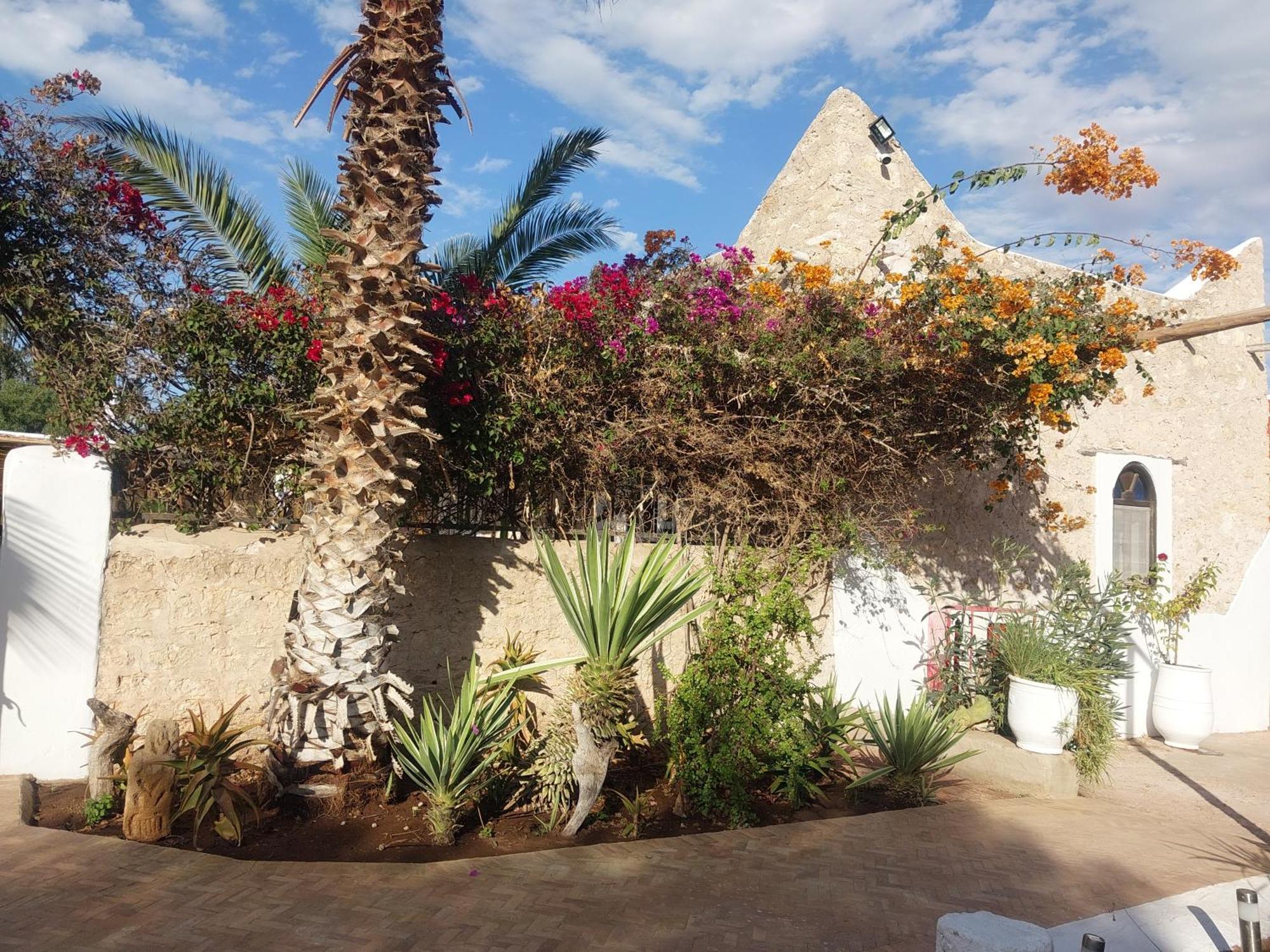 Riad Eucalyptus Ес-Сувейра Екстер'єр фото