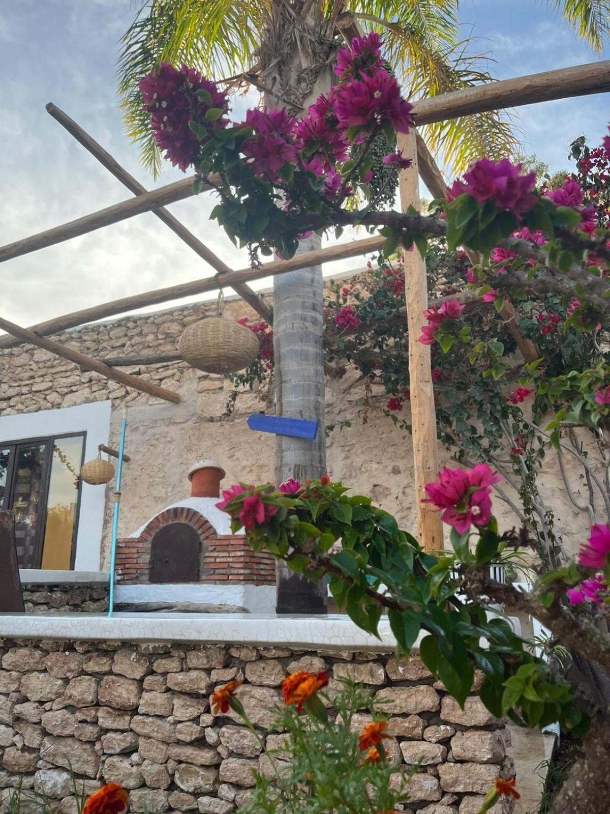 Riad Eucalyptus Ес-Сувейра Екстер'єр фото