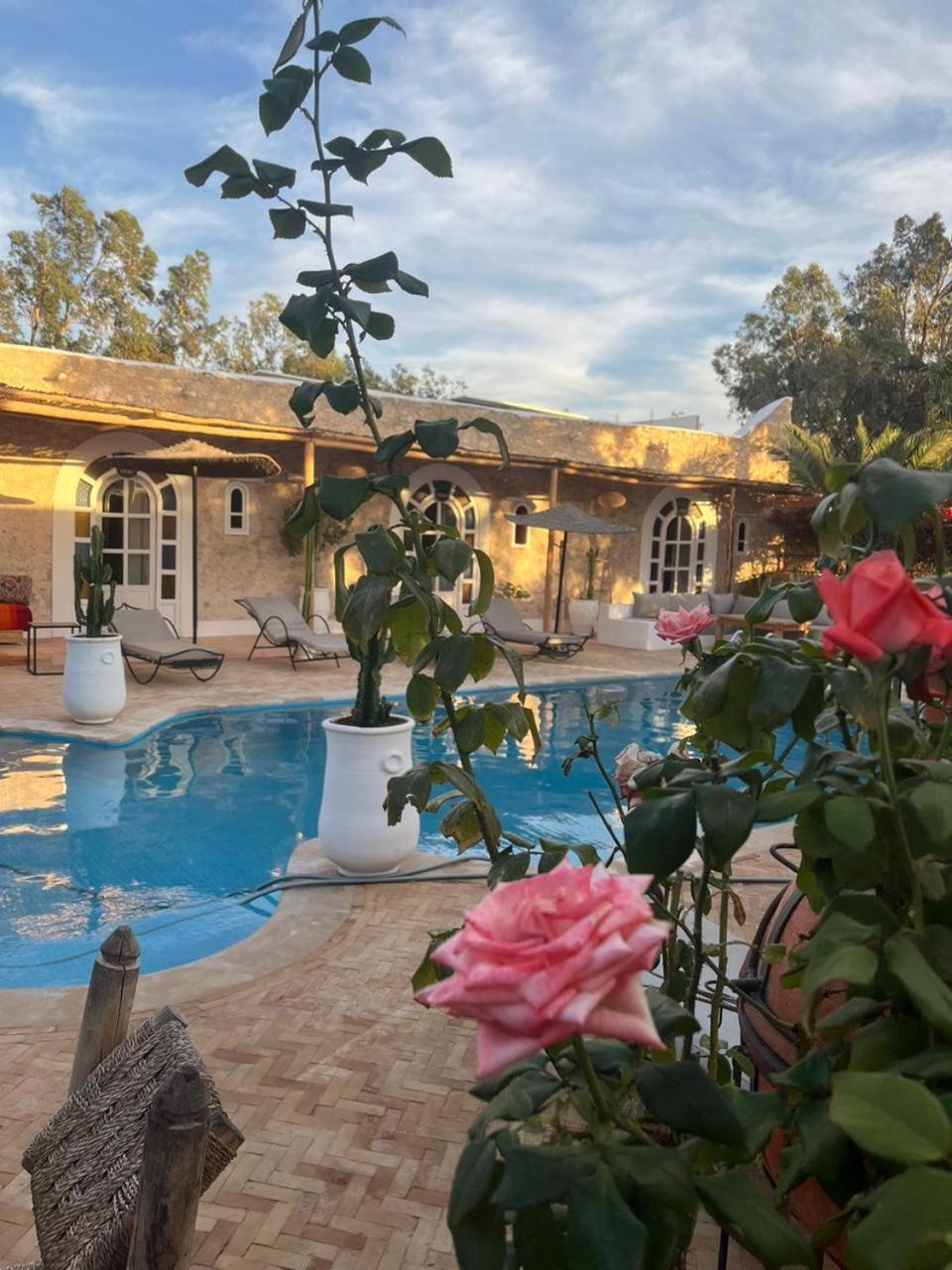 Riad Eucalyptus Ес-Сувейра Екстер'єр фото