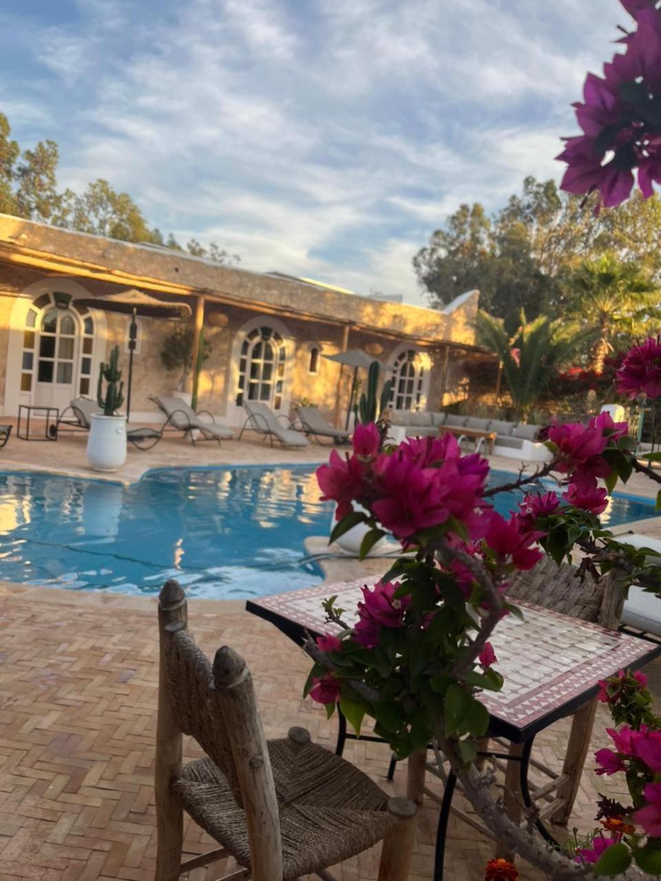 Riad Eucalyptus Ес-Сувейра Екстер'єр фото
