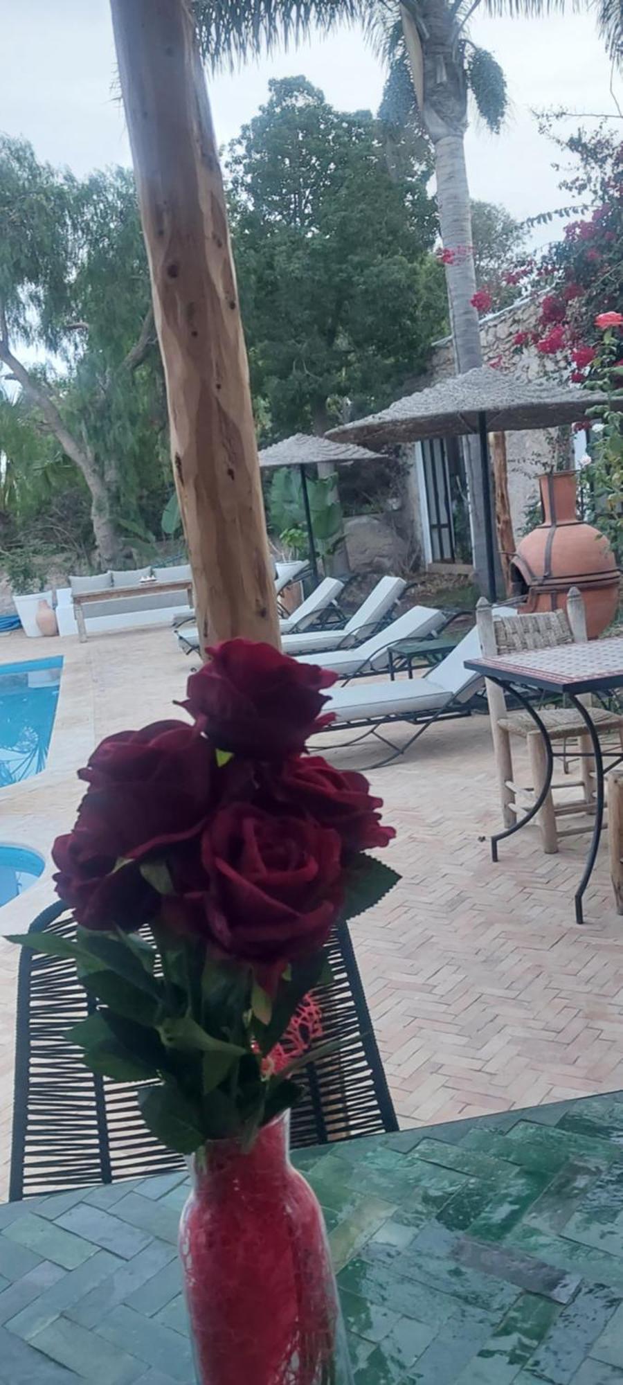Riad Eucalyptus Ес-Сувейра Екстер'єр фото