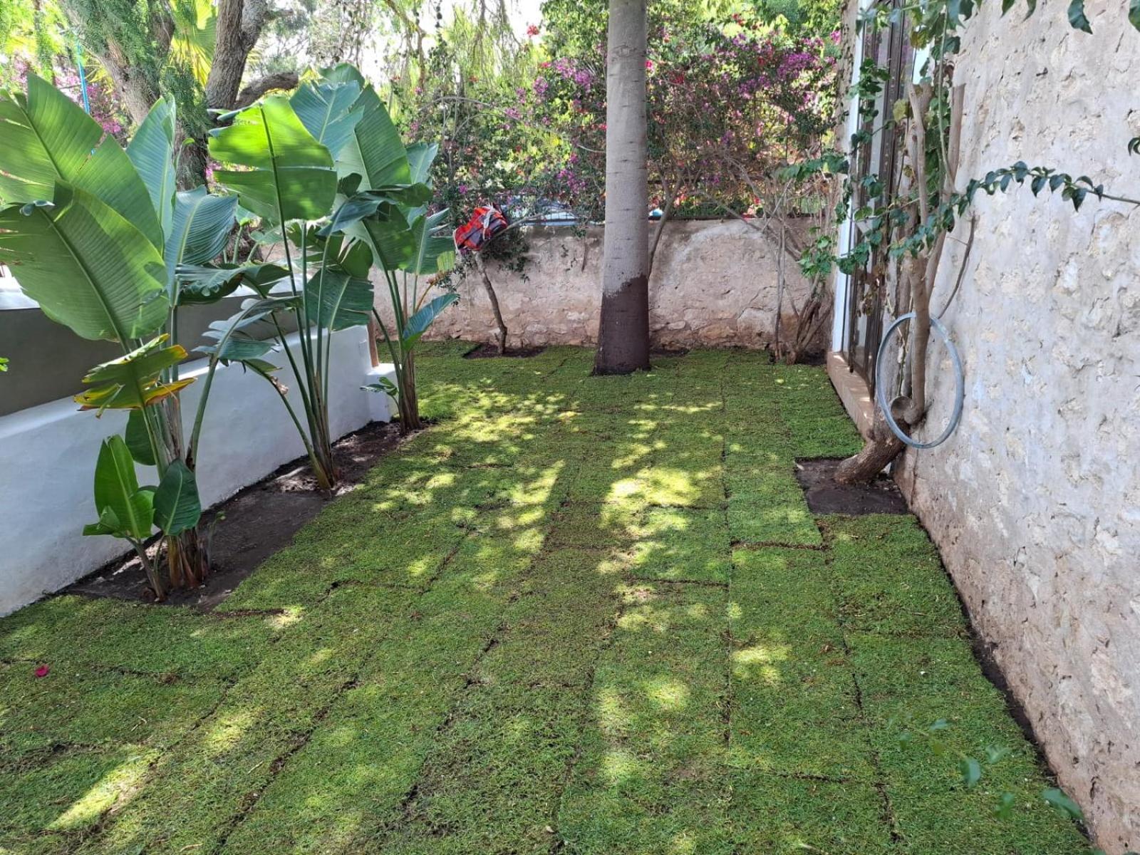 Riad Eucalyptus Ес-Сувейра Екстер'єр фото