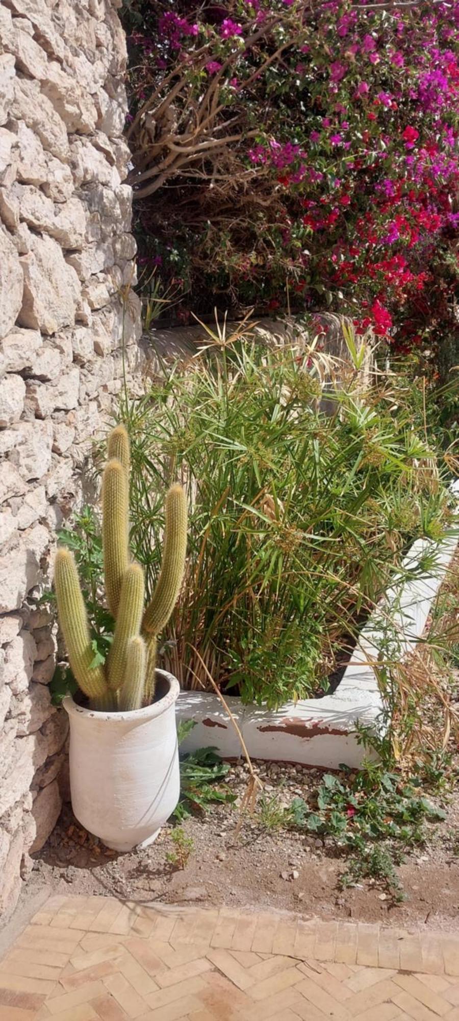 Riad Eucalyptus Ес-Сувейра Екстер'єр фото